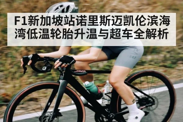 F1新加坡站诺里斯迈凯伦滨海湾低温轮胎升温与超车全解析 - hth