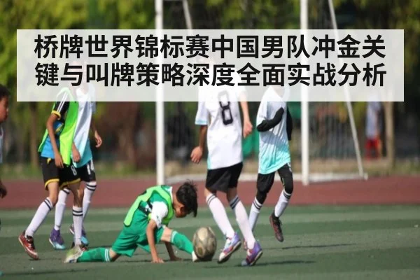 桥牌世界锦标赛中国男队冲金关键与叫牌策略深度全面实战分析